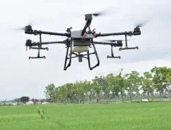 Magelang Menuju Smart Farming: Drone Jadi Solusi Atasi Hama Padi