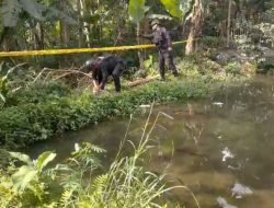 Mortir Temuan Warga Blora Dimusnahkan Tim Jihandak Brimob di Hutan Jati Sambong