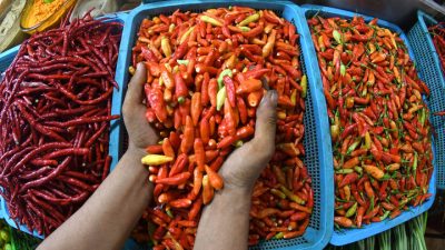 Cabai dan Telur Naik