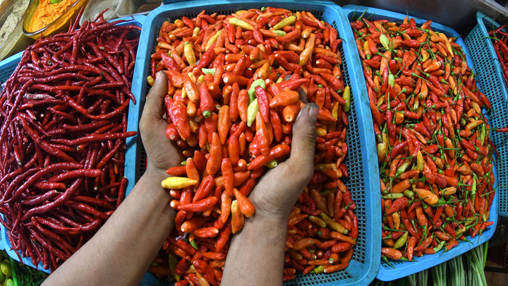 Cabai dan Telur Naik