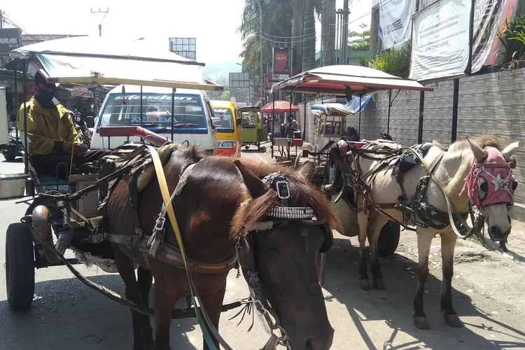 Cegah Kemacetan Jalur Wisata