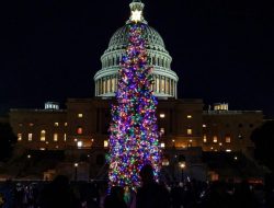 Ketika Pohon Natal di Betlehem Kembali Menyala