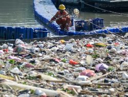 LH Banten Targetkan Pembersihan Pestisida di Cisadane Rampung 2 Minggu